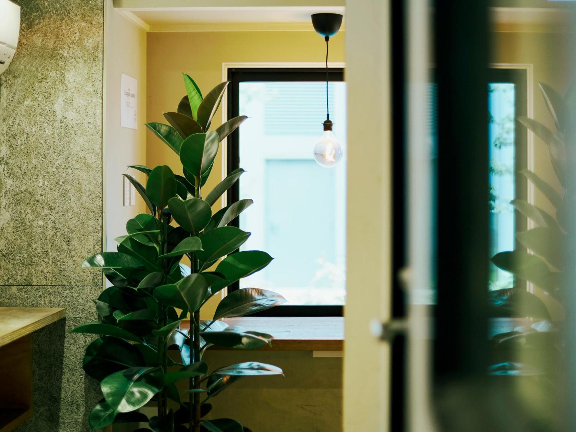 Akasaka Guesthouse Hive Tokio Zewnętrze zdjęcie